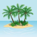 Island with palm trees, rocks and stones